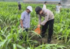 Polres Malang Perkuat Kolaborasi Ketahanan Pangan untuk Dukung Kesejahteraan Masyarakat